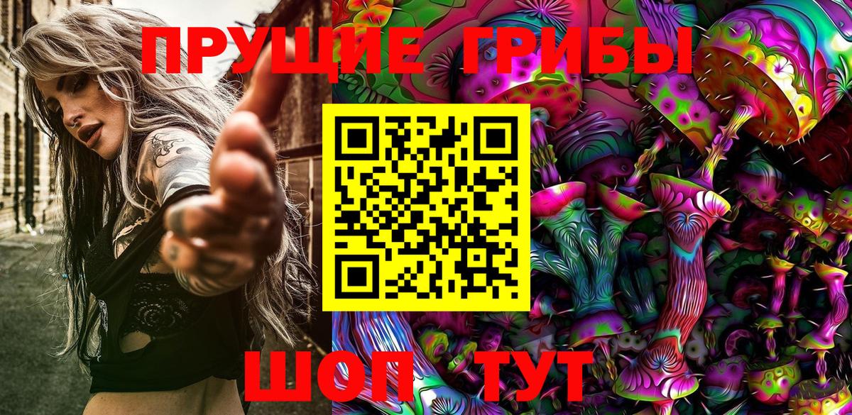 Псилоцибиновые грибы Psilocybe Можга