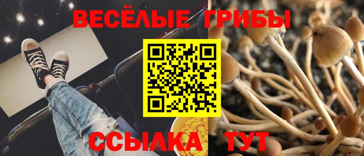Псилоцибиновые грибы Magic Shrooms  Вход с VPN  Можга 